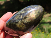 Polished Leopard Stone Free Forms x 4 From Zimbabwe - TopRock