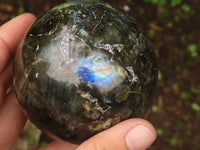 Polished Flashy Labradorite Spheres  x 2 From Madagascar - TopRock