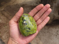 Polished Small Green Opal Standing Free Forms  x 6 From Madagascar - Toprock Gemstones and Minerals 