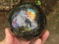 Polished Flashy Labradorite Spheres  x 2 From Madagascar - TopRock