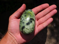 Polished Leopard Stone Free Forms x 4 From Zimbabwe - TopRock