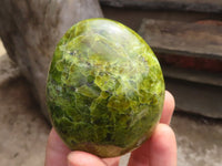 Polished Small Green Opal Standing Free Forms  x 6 From Madagascar - Toprock Gemstones and Minerals 