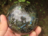 Polished Flashy Labradorite Spheres  x 2 From Madagascar - TopRock