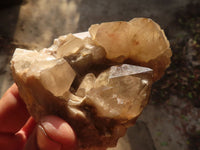 Natural White Phantom Smokey Quartz Clusters x 6 From Luena, Congo