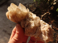 Natural White Phantom Smokey Quartz Clusters x 6 From Luena, Congo