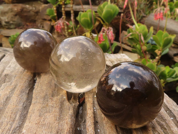 Polished  Beautiful Smokey Quartz Crystal Balls  x 6 From Madagascar