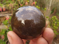 Polished  Beautiful Smokey Quartz Crystal Balls  x 6 From Madagascar