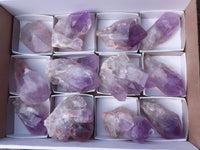 Natural Single Jacaranda Amethyst Crystals x 12 From Mumbwa, Zambia - Toprock Gemstones and Minerals 