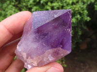 Natural Single Jacaranda Amethyst Crystals x 12 From Mumbwa, Zambia - Toprock Gemstones and Minerals 