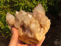 Natural Cascading Smokey Quartz Cluster  x 1 From Luena, Congo