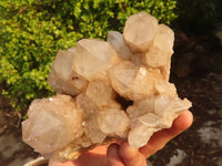 Natural Cascading Smokey Quartz Cluster  x 1 From Luena, Congo