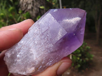 Natural Single Jacaranda Amethyst Crystals x 12 From Mumbwa, Zambia - Toprock Gemstones and Minerals 