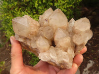 Natural Cascading Smokey Quartz Cluster  x 1 From Luena, Congo