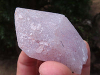 Natural Single Jacaranda Amethyst Crystals x 12 From Mumbwa, Zambia - Toprock Gemstones and Minerals 