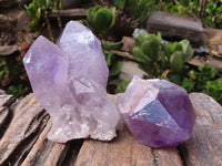 Natural Single Jacaranda Amethyst Crystals x 12 From Mumbwa, Zambia - Toprock Gemstones and Minerals 