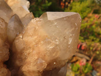 Natural Cascading Smokey Quartz Cluster  x 1 From Luena, Congo