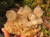 Natural Cascading Smokey Quartz Cluster  x 1 From Luena, Congo