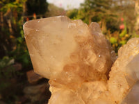 Natural Cascading Smokey Quartz Cluster  x 1 From Luena, Congo