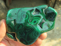 Polished Malachite Free Forms x 3 From Kolwezi, Congo