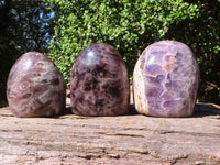 Polished Smokey Flower Dream Amethyst Standing Free Forms  x 3 From Madagascar - TopRock