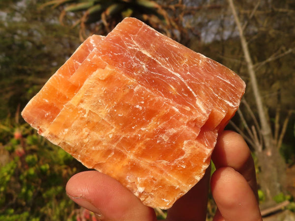 Natural New Sunset Orange Calcite Specimens  x 12 From Spitzkoppe, Namibia - Toprock Gemstones and Minerals 