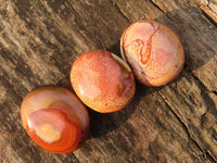 Polished  Polychrome / Picasso Jasper Palm Stones  x 20 From Madagascar