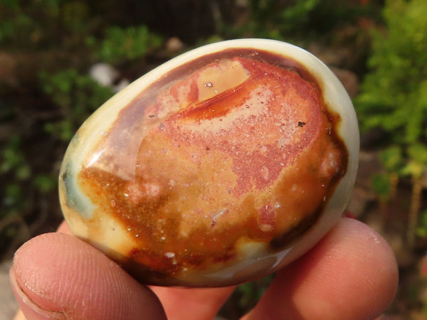 Polished  Polychrome / Picasso Jasper Palm Stones  x 20 From Madagascar