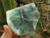 Polished Semi Translucent Watermelon Fluorite Slices  x 6 From Uis, Namibia - TopRock