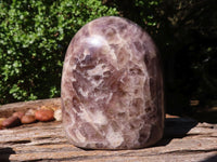 Polished Smokey Flower Dream Amethyst Standing Free Forms  x 3 From Madagascar - TopRock