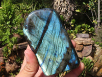 Polished Labradorite Standing Free Forms With Blue & Gold Flash  x 2 From Tulear, Madagascar - Toprock Gemstones and Minerals 