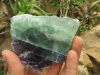 Polished Semi Translucent Watermelon Fluorite Slices  x 6 From Uis, Namibia - TopRock