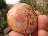 Polished  Polychrome / Picasso Jasper Palm Stones  x 20 From Madagascar