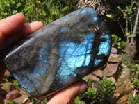 Polished Labradorite Standing Free Forms With Blue & Gold Flash  x 2 From Tulear, Madagascar - Toprock Gemstones and Minerals 