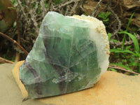 Polished Semi Translucent Watermelon Fluorite Slices  x 6 From Uis, Namibia - TopRock