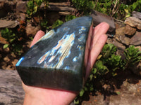 Polished Labradorite Standing Free Forms With Blue & Gold Flash  x 2 From Tulear, Madagascar - Toprock Gemstones and Minerals 