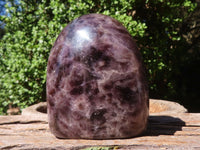 Polished Smokey Flower Dream Amethyst Standing Free Forms  x 3 From Madagascar - TopRock