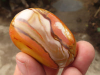 Polished  Polychrome / Picasso Jasper Palm Stones  x 20 From Madagascar