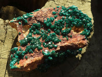 Natural Extra Large Emerald Dioptase Specimen  x 1 From Likasi, Congo - Toprock Gemstones and Minerals 