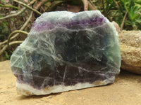 Polished Semi Translucent Watermelon Fluorite Slices  x 6 From Uis, Namibia - TopRock