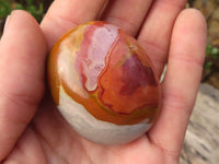 Polished  Polychrome / Picasso Jasper Palm Stones  x 20 From Madagascar