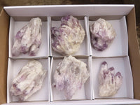 Natural Sugar Amethyst Clusters  x 6 From Solwezi, Zambia - Toprock Gemstones and Minerals 