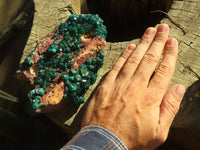 Natural Extra Large Emerald Dioptase Specimen  x 1 From Likasi, Congo - Toprock Gemstones and Minerals 