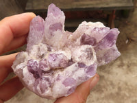 Natural Sugar Amethyst Clusters  x 6 From Solwezi, Zambia - Toprock Gemstones and Minerals 