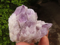 Natural Sugar Amethyst Clusters  x 6 From Solwezi, Zambia - Toprock Gemstones and Minerals 