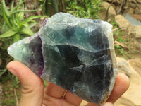 Polished Semi Translucent Watermelon Fluorite Slices  x 6 From Uis, Namibia - TopRock