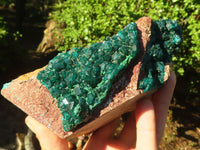 Natural Extra Large Emerald Dioptase Specimen  x 1 From Likasi, Congo - Toprock Gemstones and Minerals 