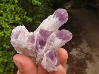 Natural Sugar Amethyst Clusters  x 6 From Solwezi, Zambia - Toprock Gemstones and Minerals 