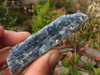 Natural Single Blue Kyanite Crystals  x 30 From Karoi, Zimbabwe