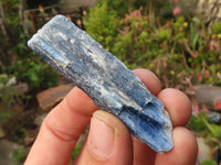 Natural Single Blue Kyanite Crystals  x 30 From Karoi, Zimbabwe