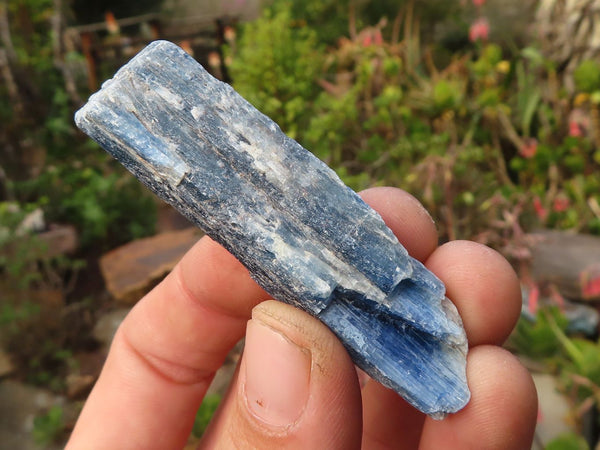 Natural Single Blue Kyanite Crystals  x 30 From Karoi, Zimbabwe